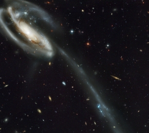 The Tadpole Galaxy (UGC 10214) By Nasa Hubble Telescope - Desktop Wallpaper