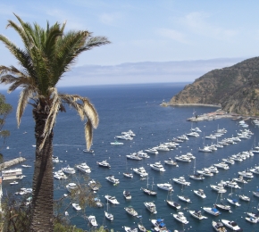 Catalina Island - Desktop Wallpaper