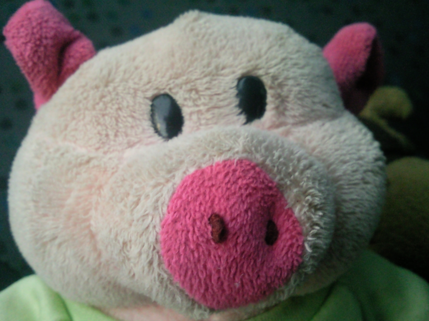 big pig teddy