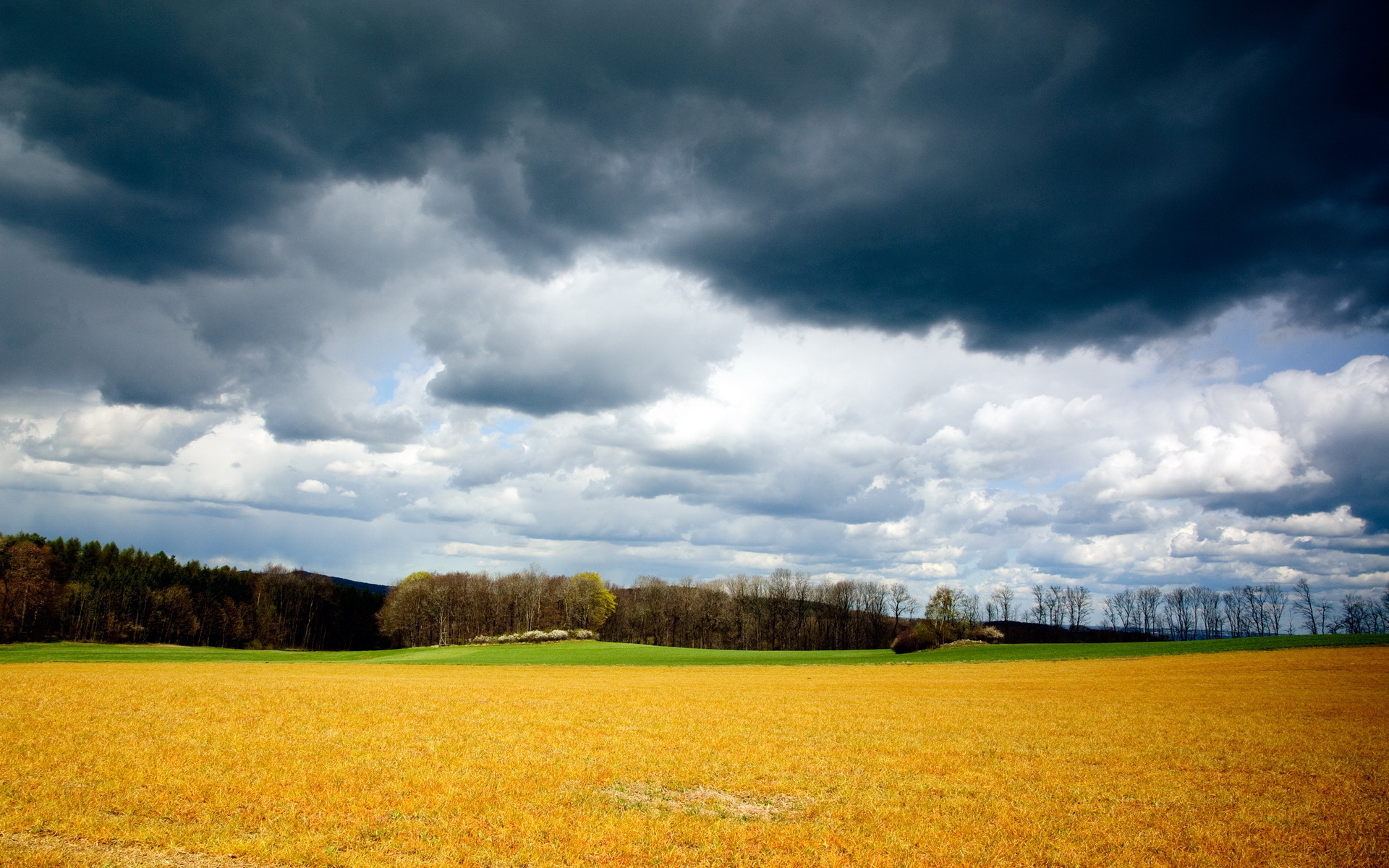 Storm Clouds