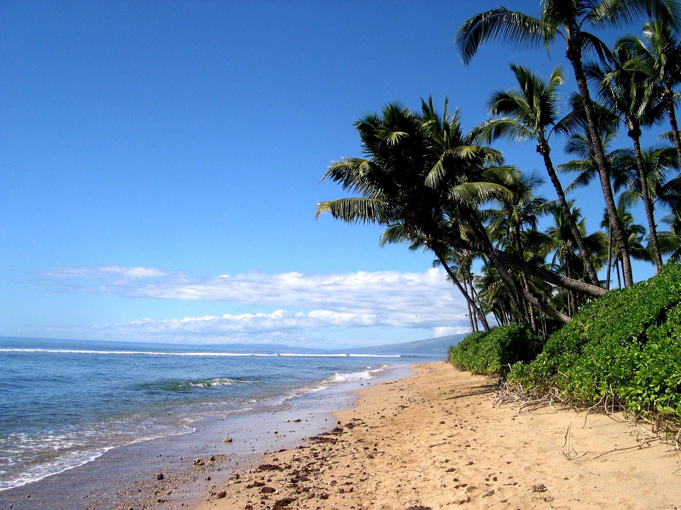 Maui Desktop Backgrounds