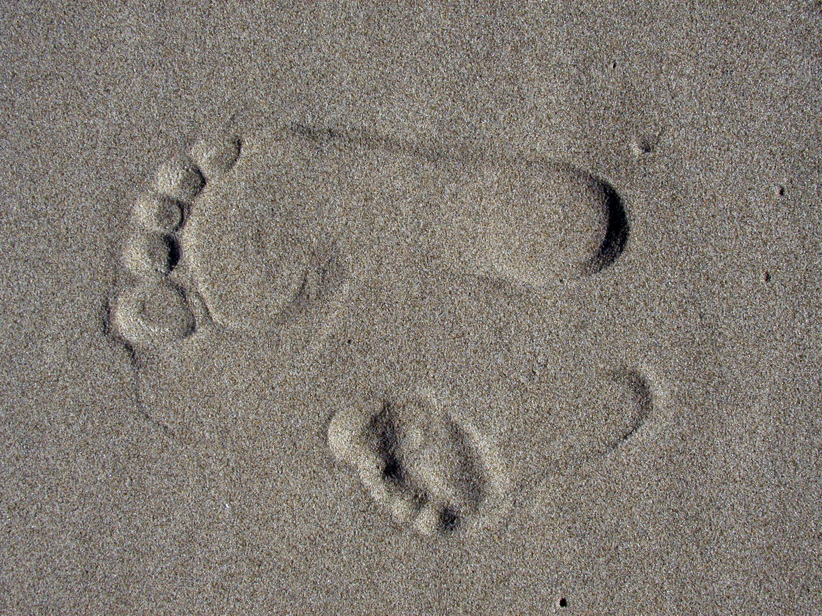 These his are footsteps. Ancient Footsteps. Footsteps, 1998. Parents Footsteps. 17 - Footsteps - 2008.